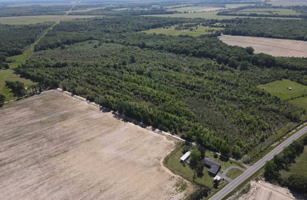 dji_fly_20250414_154326_543_1744663423538_photo