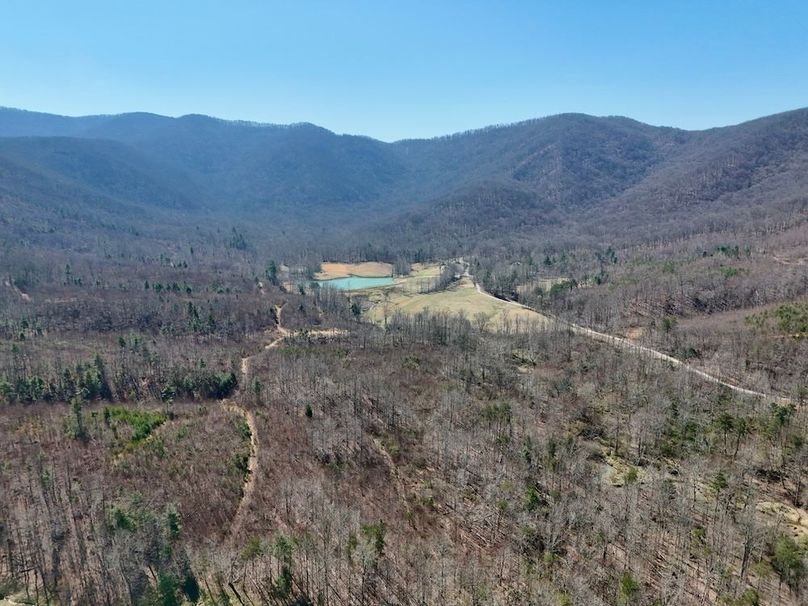 Morgan Co TN 310.833 Schneller_81