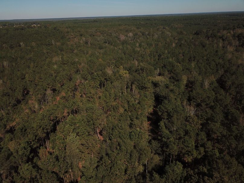 DJI_0008