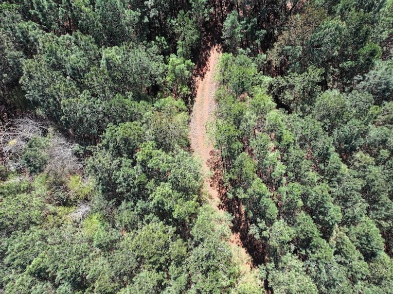 010AE - 257 Acres - Drone-16