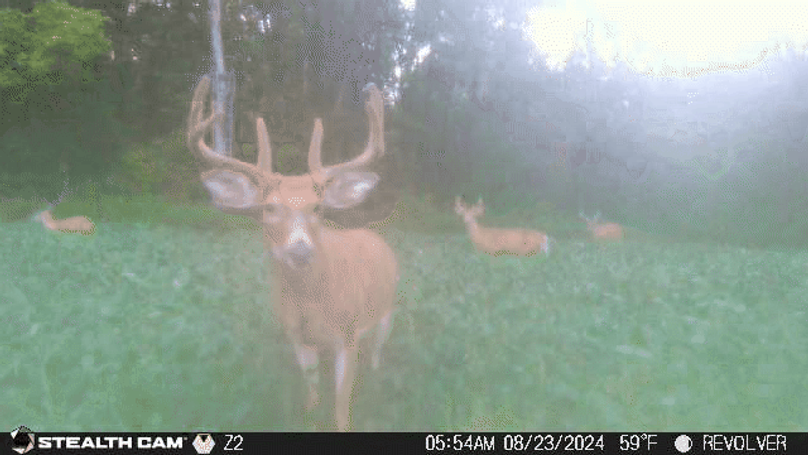 24082305545201000583