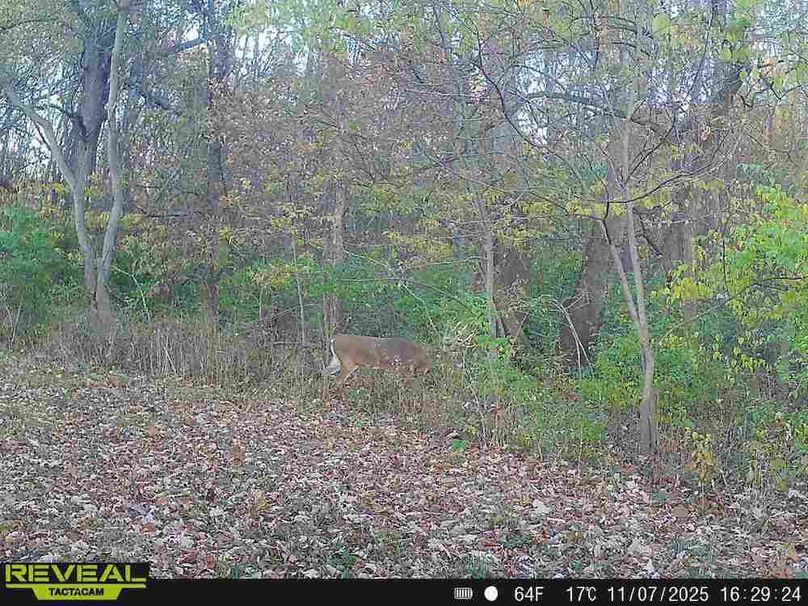 Copy of Trail photos.36