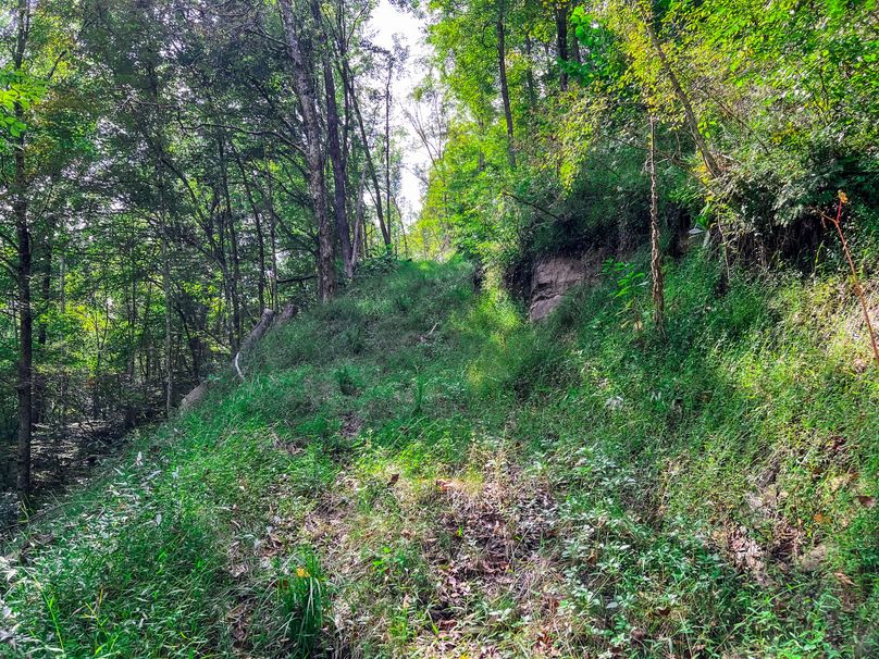 Calhoun, WV 101.8 AC Holly -11