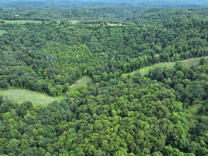 DJI_20240816025619_0015_D