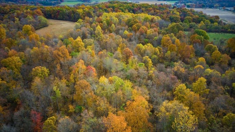 09-zj 5198 McKinney Xing007