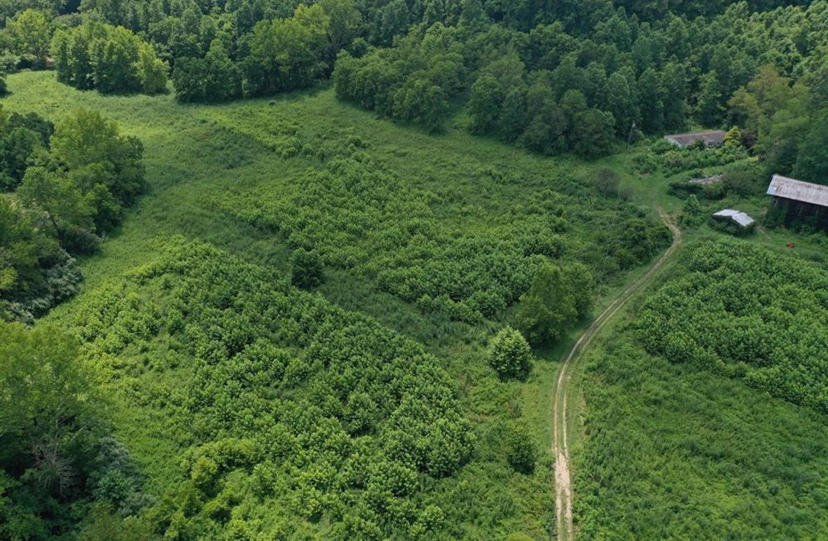 004 low elevation drone shot on the south side of the driveway leading in