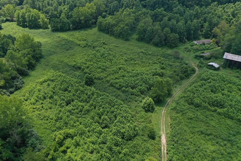 004 low elevation drone shot on the south side of the driveway leading in