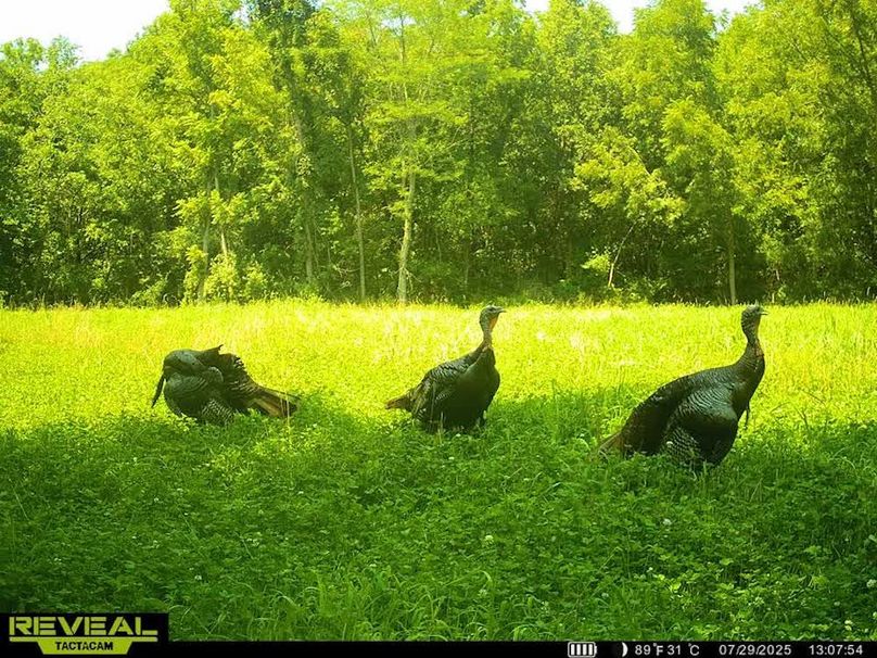 860322065963602-100-3-07292025130812-W1004102