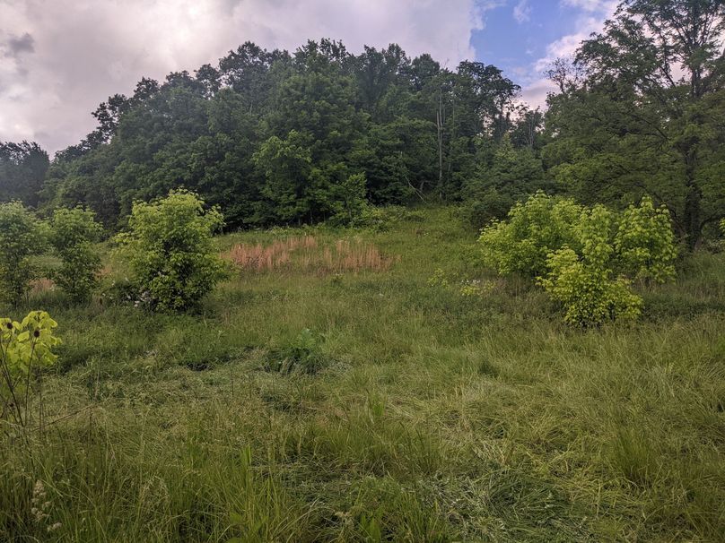 PXL_20230530_213100004