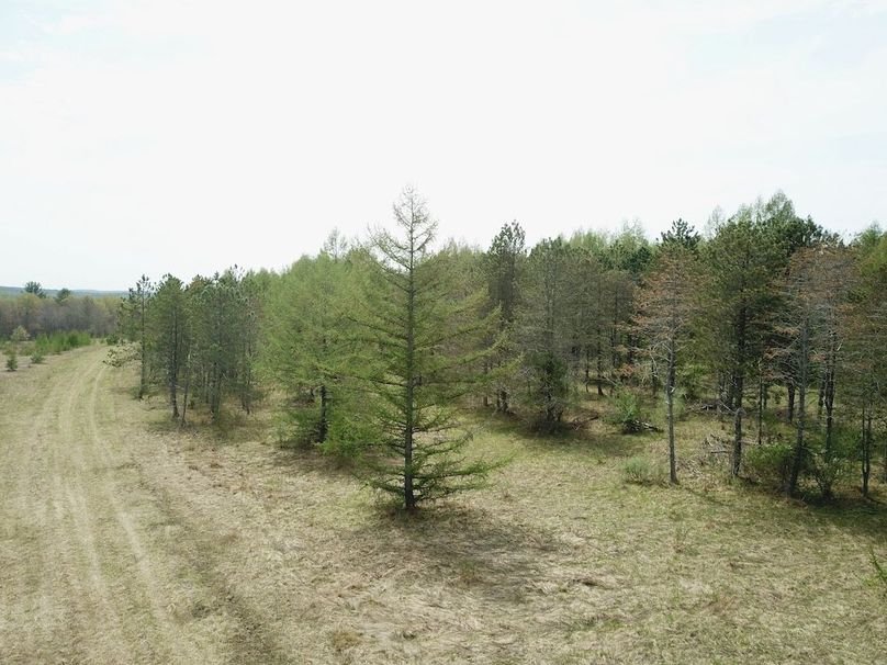 DJI_0029