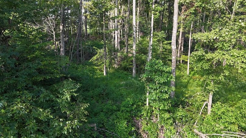 DJI_20250808180154_0771_D