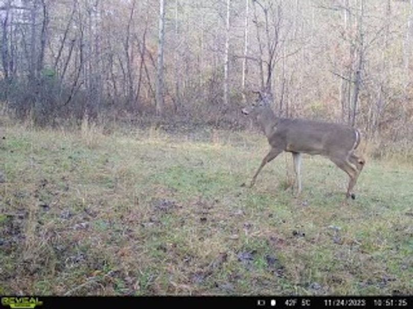 b620e036-2b9c-49fc-8910-b0ec613033f3