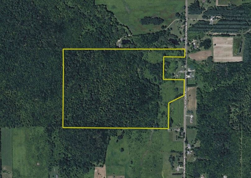 Screen Shot 2025-12-10 at 9.01.24 AM