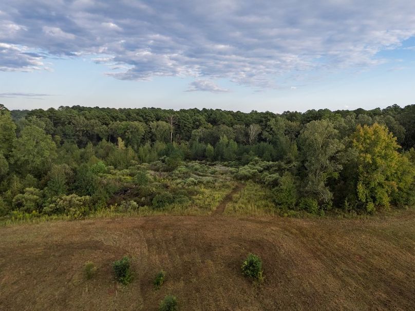 21 Edited Harison co. 206 - Ed Robb-115