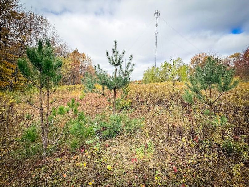 Oswego NY 6.68 Photos 32