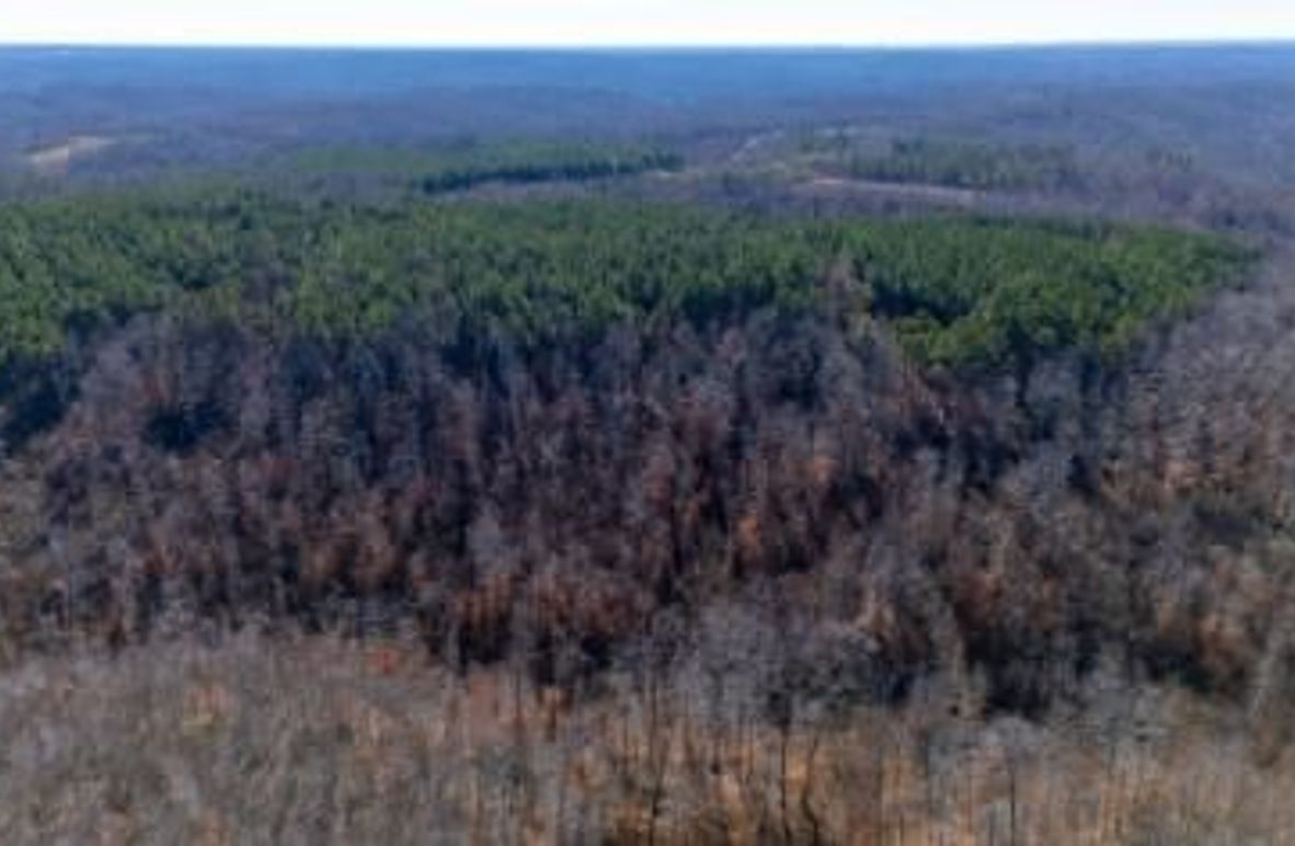 mckinnon tract 14-03