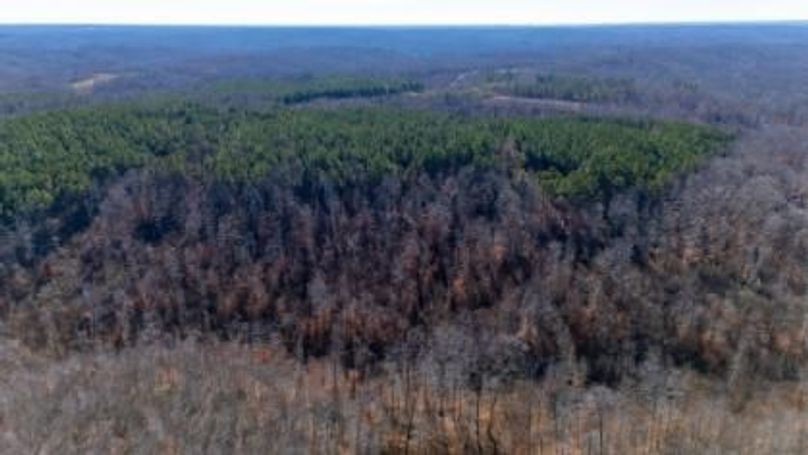 mckinnon tract 14-03