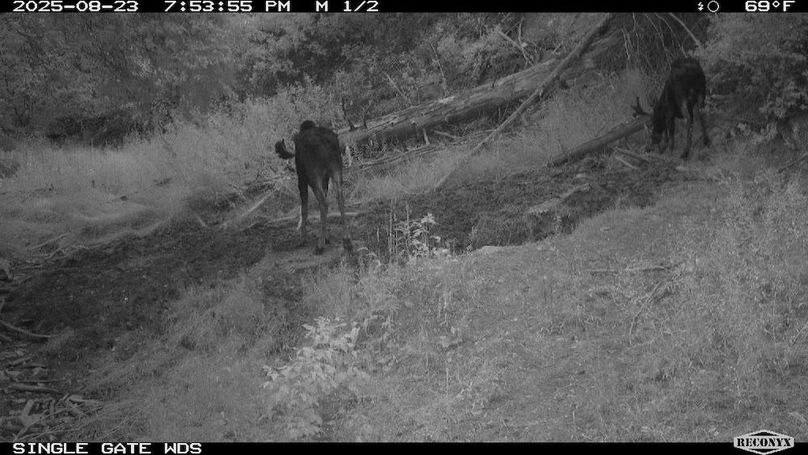 570217C6-4C0F-4CCF-8531-2A7833F9AD6D