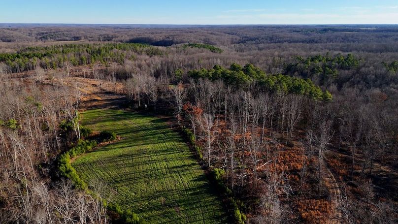 DRONE.00_03_58_11.Still012