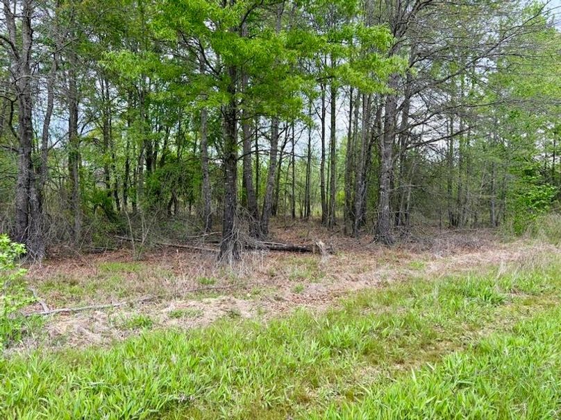 B40A2F83-EB34-428B-96BA-EB761A9388A9_1_105_c