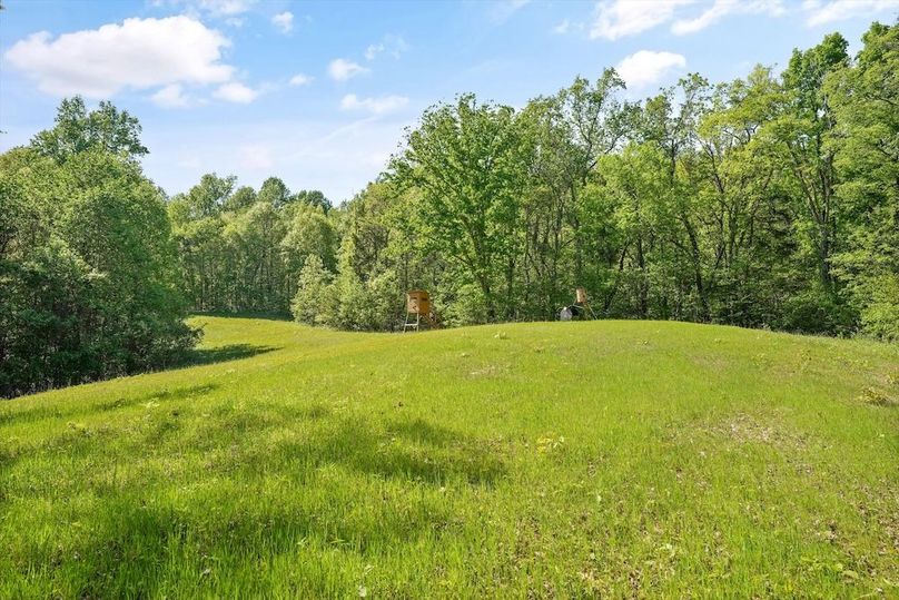 49-2869 Persian Ln45