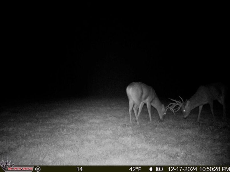 thumb-3bf6d58aa5cb7451073875eac8379fbbcc6246b0 (1)