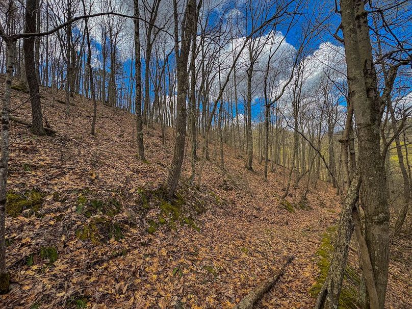 Wirt, WV 62.5 AC Full-11