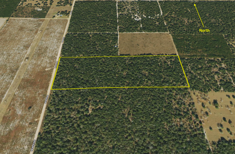 Screen Shot 2024-09-05 at 2.39.07 PM