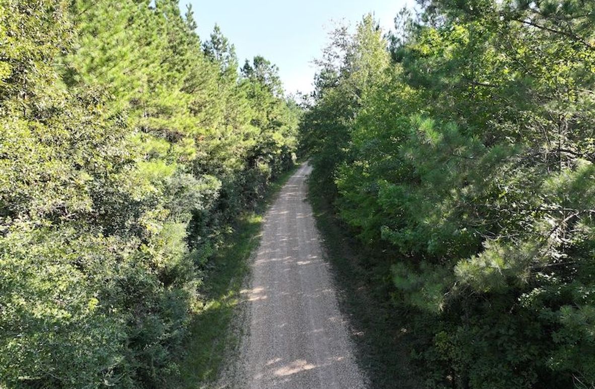 dji_fly_20250908_093738_0411_1757354105747_photo