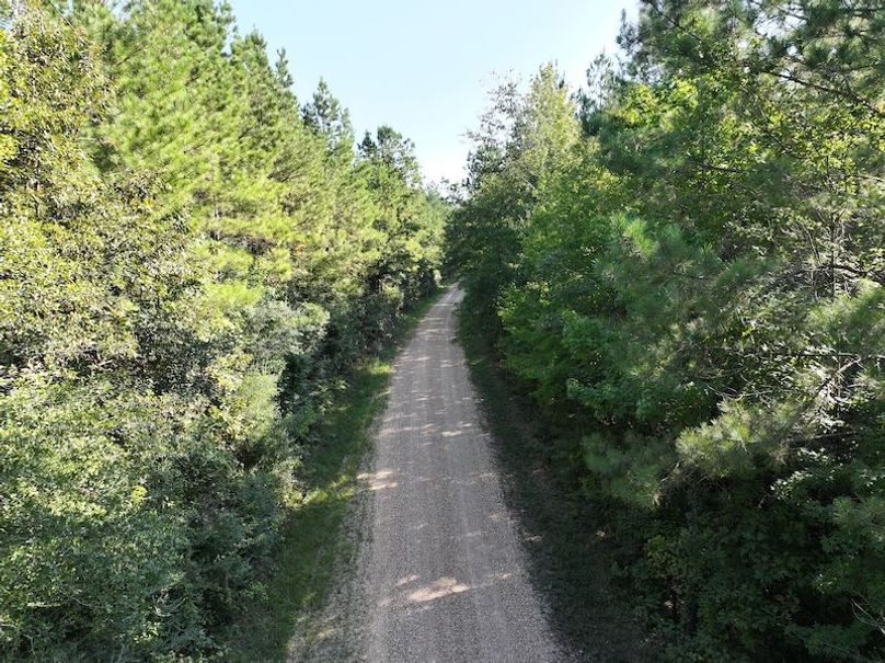 dji_fly_20250908_093738_0411_1757354105747_photo