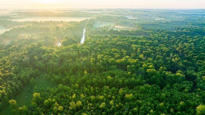 DJI_20250514053221_0017_D