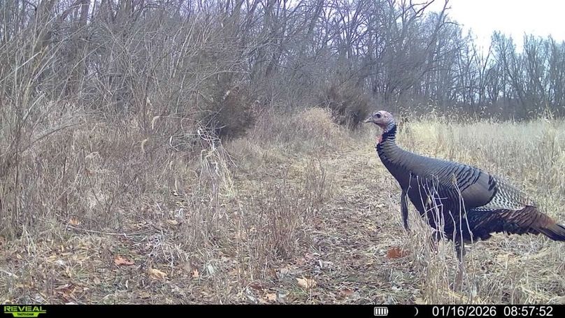 Copy of 016579001744932-80-4-01162026085752-V-SYFW07328