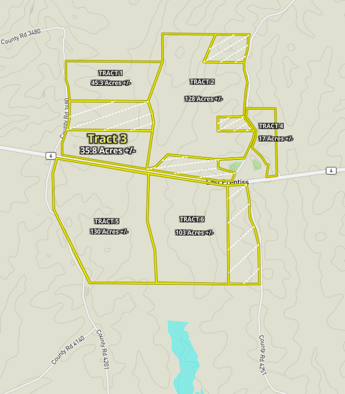 Prentiss 459-Tract 3 Map-01