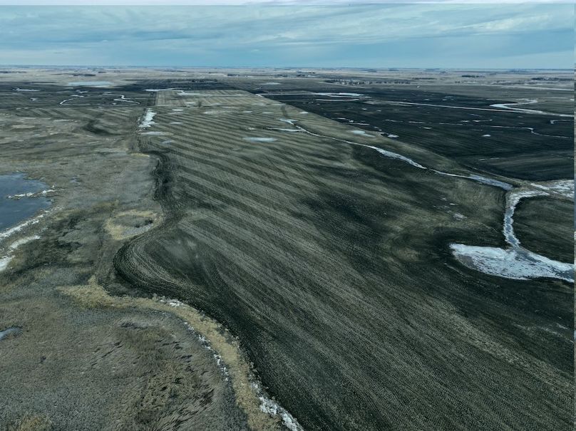 DJI_20260216150307_0090_D