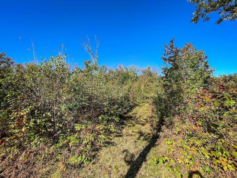 Wood 41.451, Collins -25