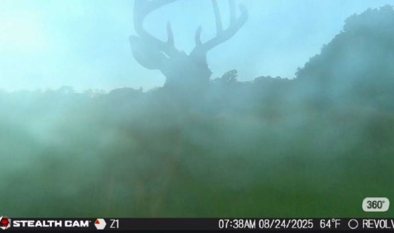 New Deer Trailcams (7)