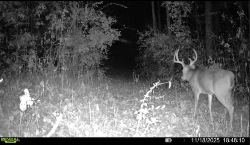 Screenshot 2025-12-21 at 7.25.33 PM