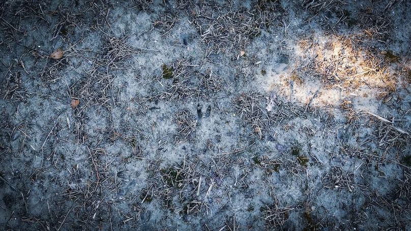 dji_fly_20260530_095044_0124_1780149187841_photo