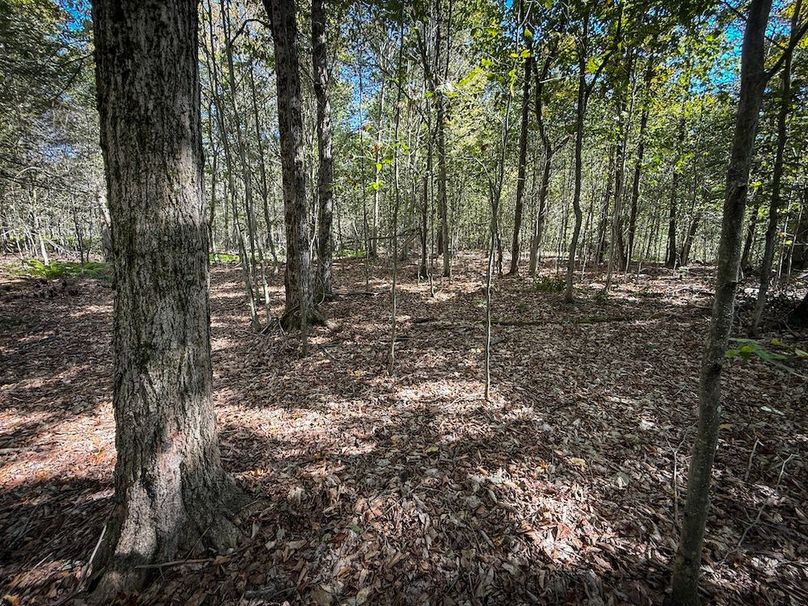 Oswego NY 18.18 Martin Photos 26