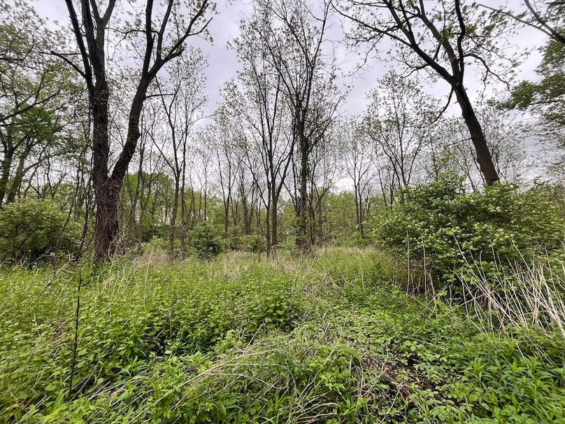 Chemung_3.5_Rouseland Photo 4