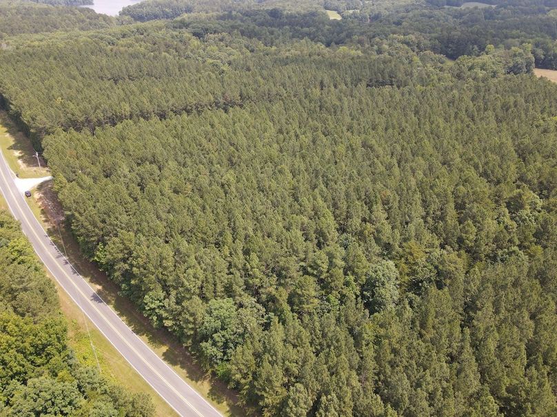 DJI_0494
