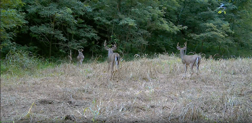 Screenshot 2025-09-24 at 2.51.41 PM