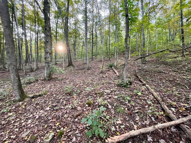 Tioga_20_Peters Photo 25