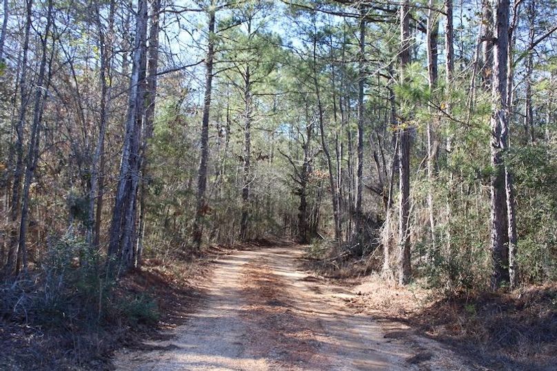 52D64437-34C8-4633-A2AA-D2FC97E86CCE_1_105_c