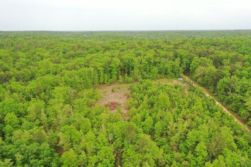 DJI_0799