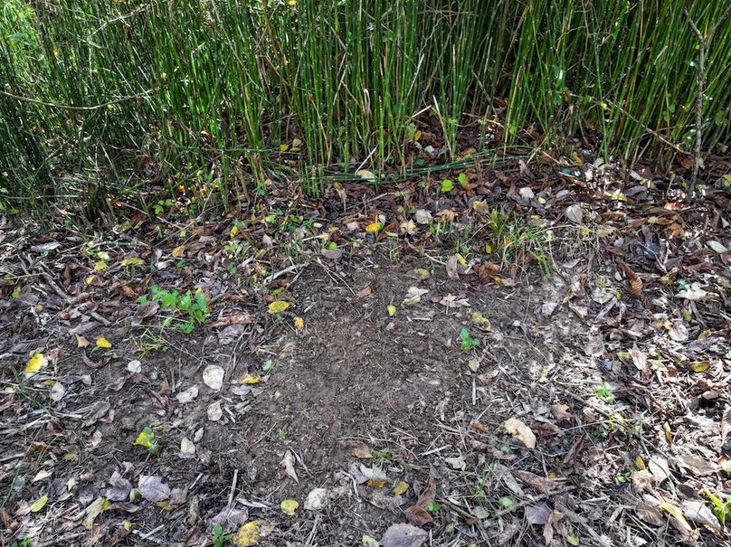 Copy of DJI_20251031134542_0799_D