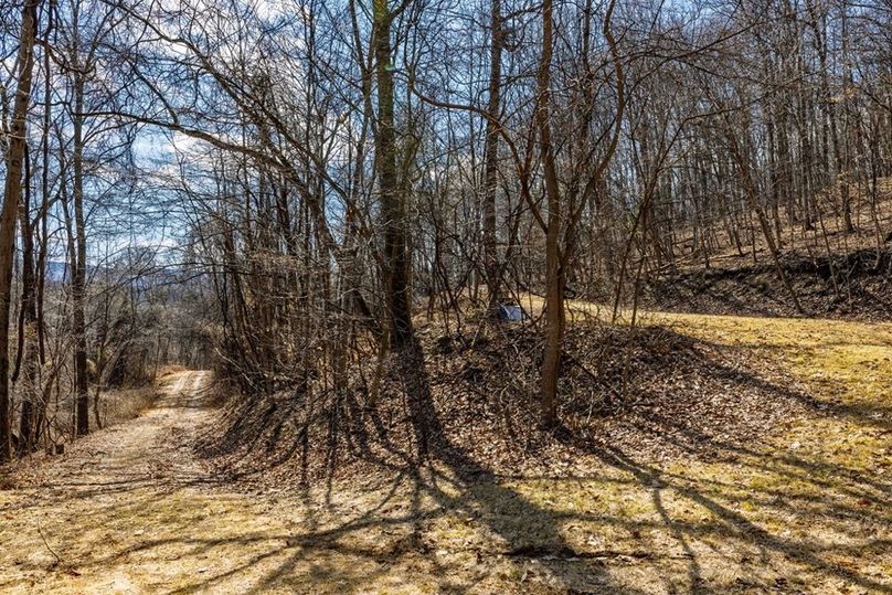 21-web-or-mls-IMG-21