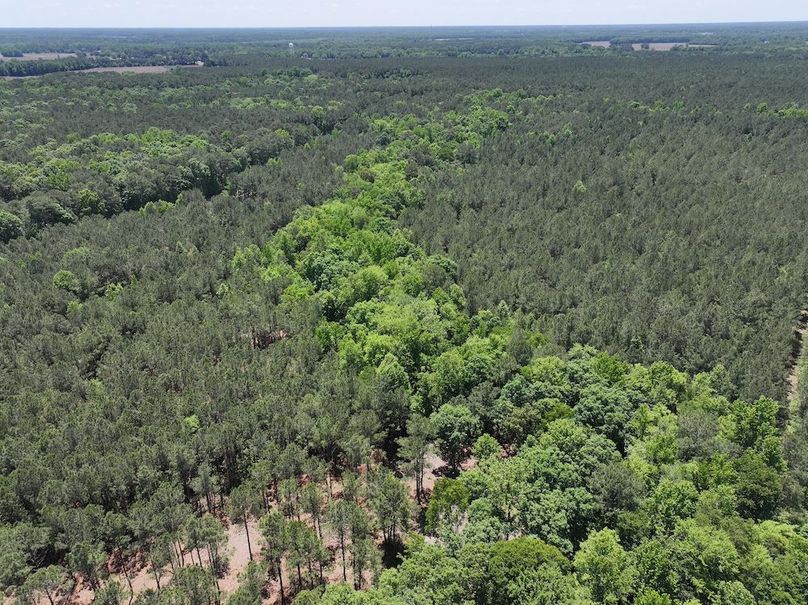 dji_fly_20260508_124734_0705_1778332831351_photo