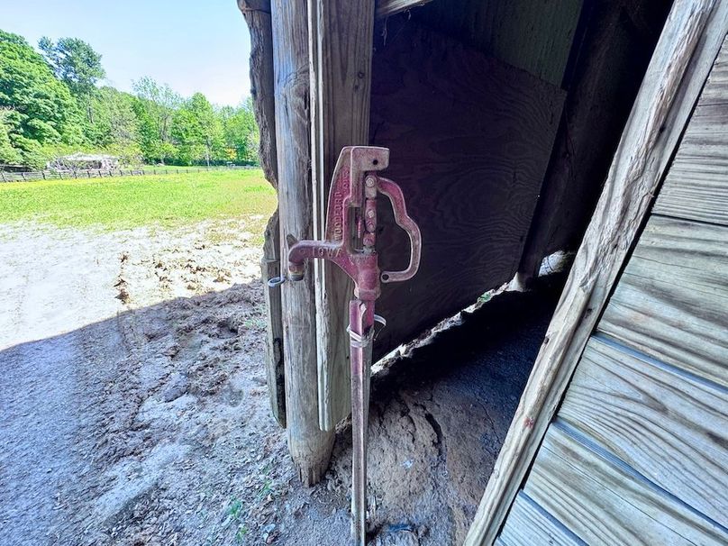 41