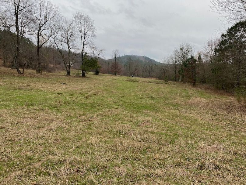 Large Hunting Recreational Property Bordering USFS/Wilderness